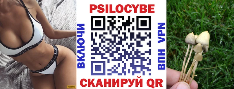 что такое   Рубцовск  Галлюциногенные грибы мухоморы 